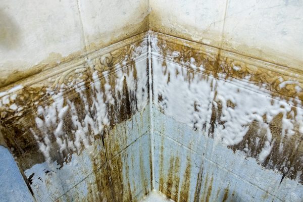 Black mould and moisture staining in a cold room corner, the typical condensation pattern